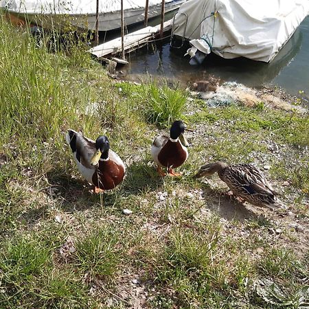 Appartamento Le Rondini Torricella  Esterno foto