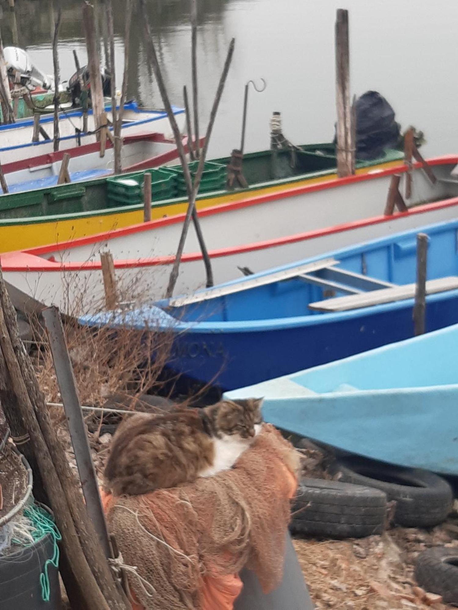 Appartamento Le Rondini Torricella  Esterno foto